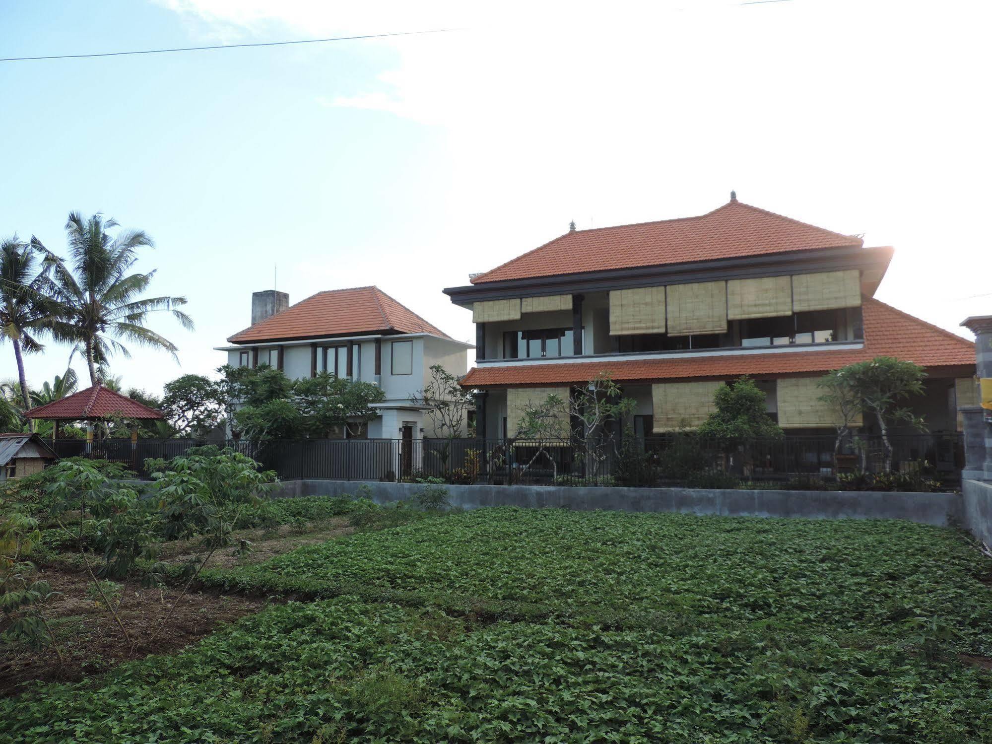 Duana'S Homestay Ubud Extérieur photo