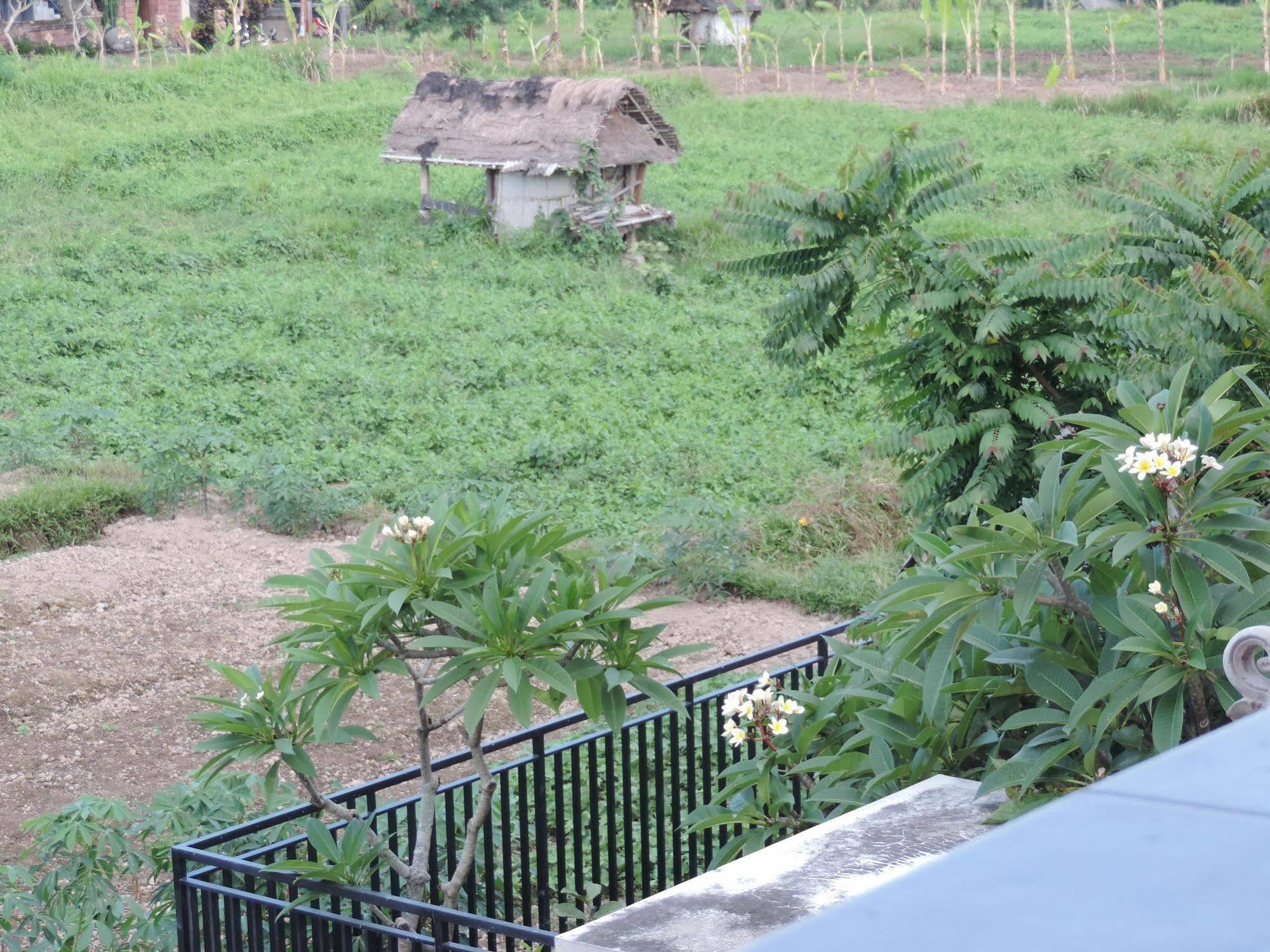 Duana'S Homestay Ubud Extérieur photo